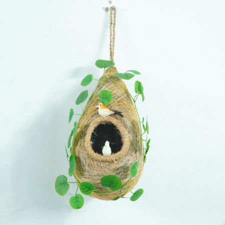 Bird Nest