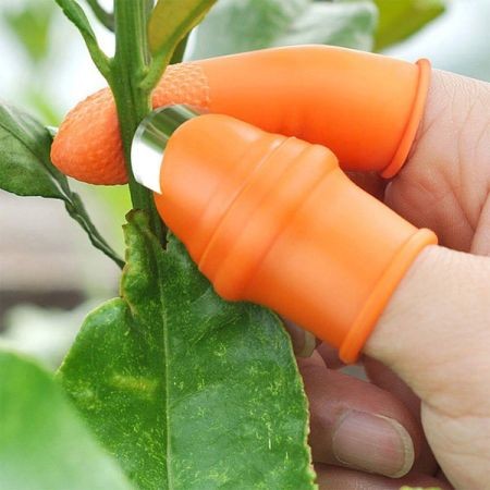 Vegetable Cutter 5 Pcs Set